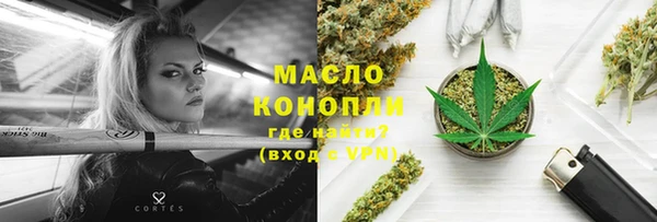 хмурый Бородино