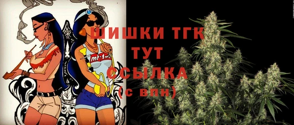 хмурый Бородино