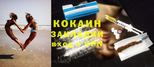 хмурый Бородино