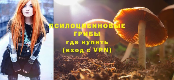 бошки Бронницы
