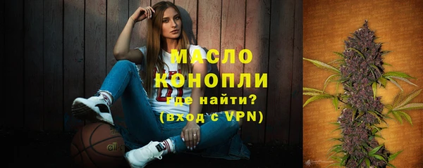 хмурый Бородино