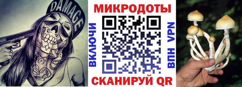 Галлюциногенные грибы мицелий  цена   Елабуга 