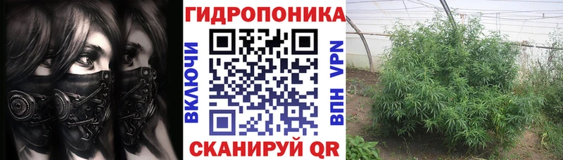 Каннабис индика где купить наркоту Елабуга